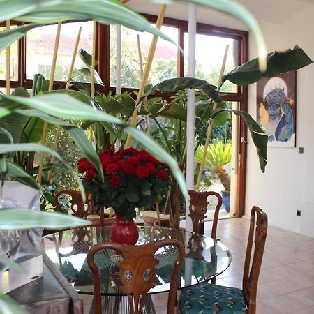 Villa Kumquats بزييه المظهر الخارجي الصورة